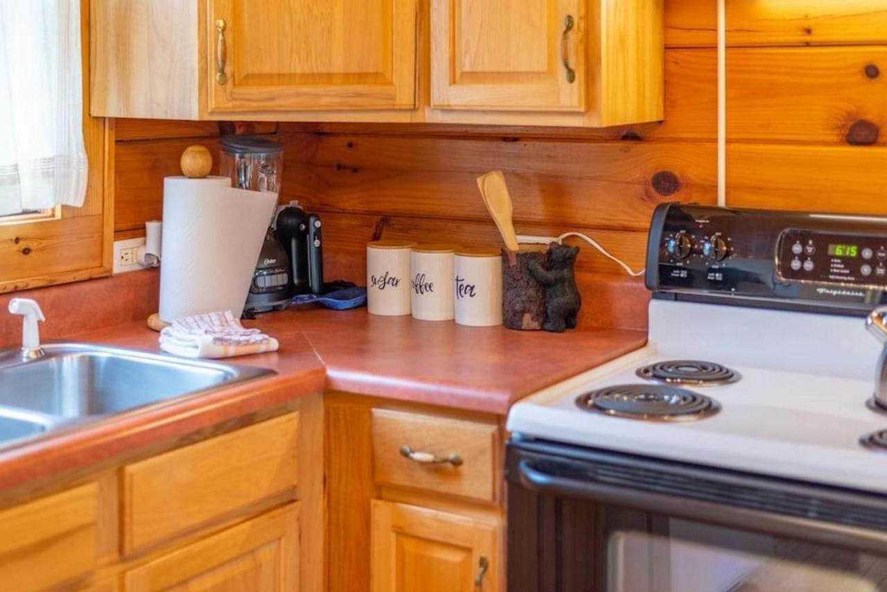 Log Cabin Stunning Mountain Views On 12 Acres Candler Eksteriør billede
