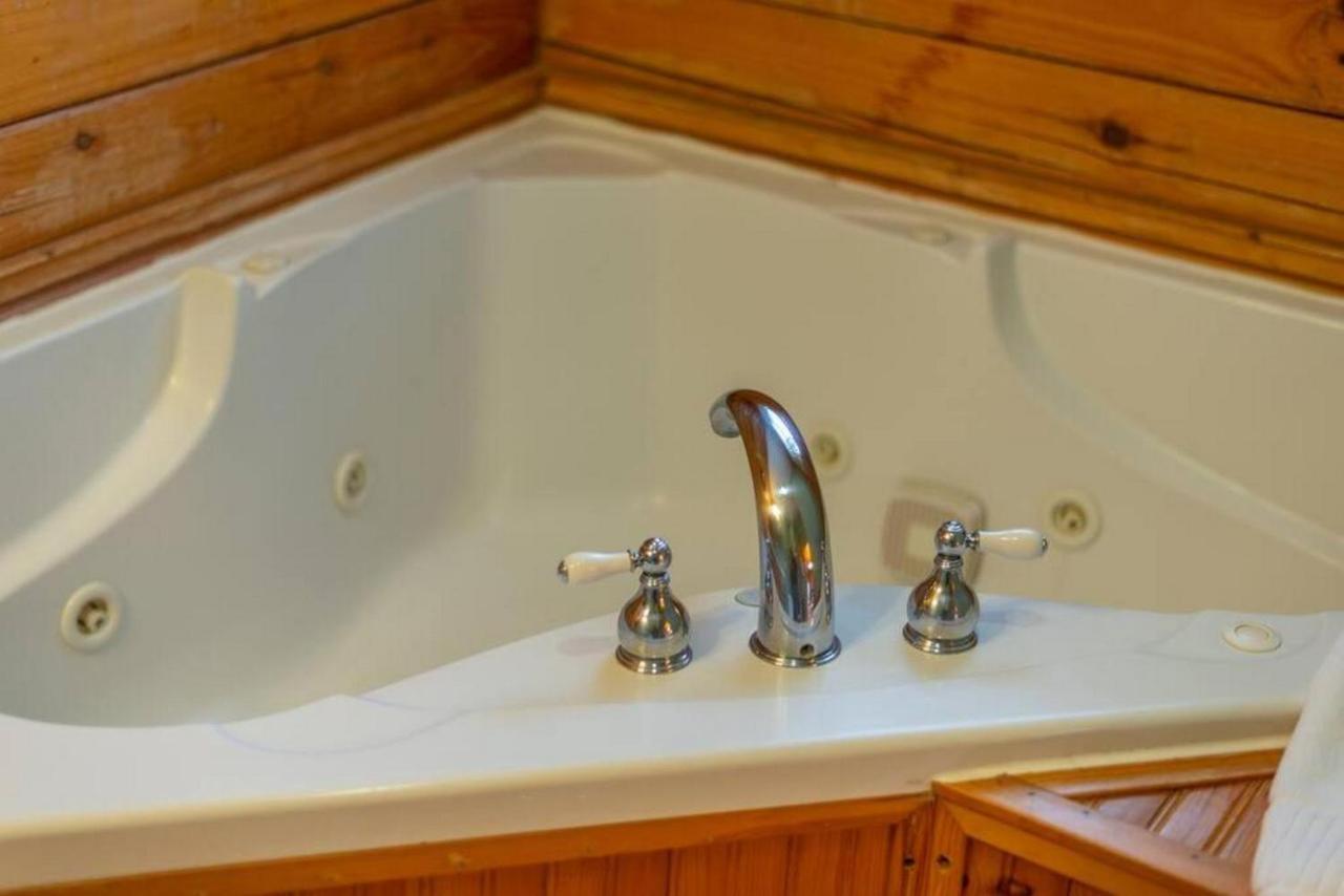 Log Cabin Stunning Mountain Views On 12 Acres Candler Eksteriør billede